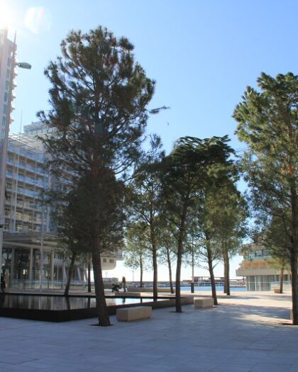 green tourism Monaco, Monaco parks and gardens, eco-tourism Monaco, Jardin Exotique Monaco, Monaco green spaces, sustainable travel Monaco, Monaco nature spots, Monaco outdoor activities, Japanese Garden Monaco, Saint-Martin Gardens Monaco