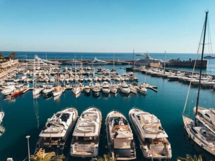monaco tips,monaco tour,monaco guided tour,best view of monaco,monaco tour by alex,how to visit monaco,best views in monaco,best viewpoints in monaco,monaco things to do,city tour monaco prix